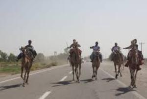 تعویق مسابقات شتر دوانی در گلستان
