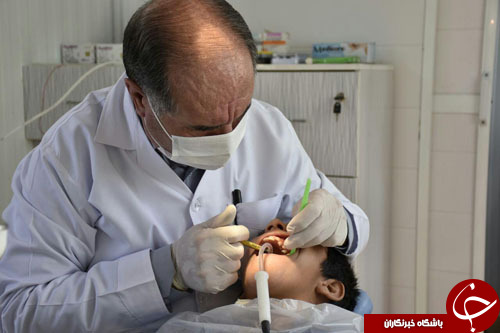 اجرای مرحله سوم طرح وارنیش فلورایددر تربت جام