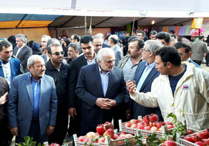گشایش جشنواره انار
