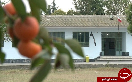 علم و عمل؛ حکایت مدرسه ای با طعم خرمالو که در آن دانش آموزان در کنار علم، عمل را هم می آموزند.