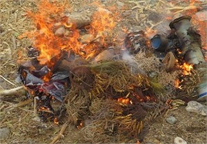 امحا150 رشته تور دام زنده گیری کبک در شاهین دژ