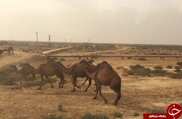 سفر به عمق محرومیت/ آزاده&zwnj;ای که مجنون می&zwnj;خوانندش!
