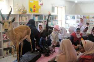آغاز آموزش طرح یک محیط بان یک مدرسه