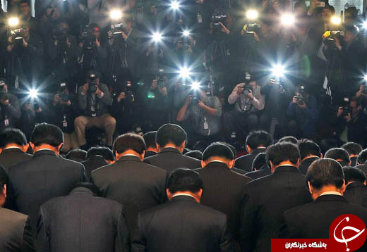 ماهی رباتیک، مانور نجات حیوانات، عذرخواهی تمامی نماینگان حزب حاکم در کره جنوبی و...