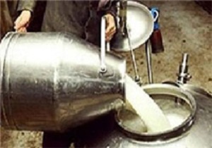 دستفروشی شیر فله ای ، ممنوع