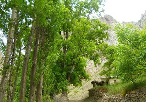 ایجاد اشتغال راهکار ماندگارکردن جمعیت در روستاهای سمنان