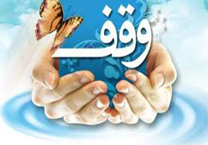 اهدا 2 قطعه زمین تجاری برای فعالیت های فرهنگی