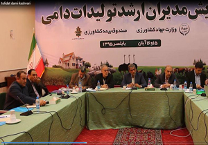 پایین آمدن سن کشتار مرغ