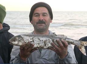 افزایش 24 درصدی صید ماهی استخوانی گلستان
