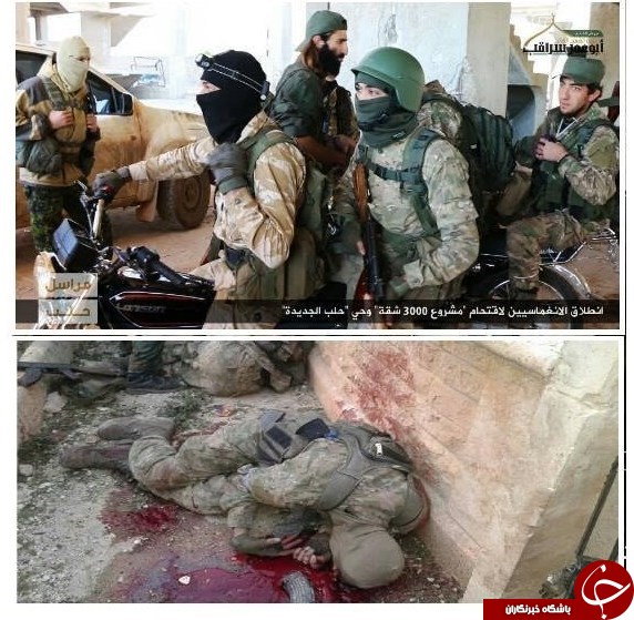 &laquo;حلب&raquo; از چه فاجعه&zwnj; بزرگی نجات یافت/جبهه&zwnj;های جنگ مملو از اجساد &laquo;انغماسی&zwnj;&raquo;ها+ تصاویر