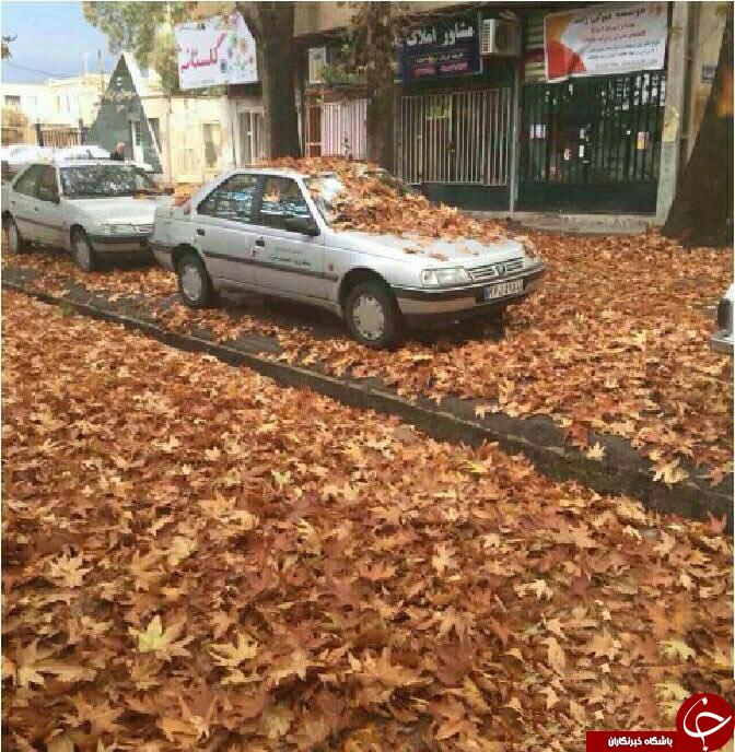 قبل از اختراع ساعت/ژاپنی ها در حال برگشت/ مقبره حافظ /خودروی نظافت /در فرانسه دور ریختن /