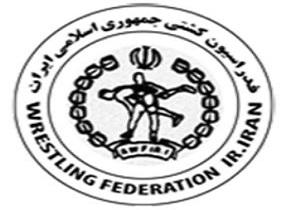 انتخاب فردین معصومی به عنوان نماینده رسانه ای فدراسیون کشتی