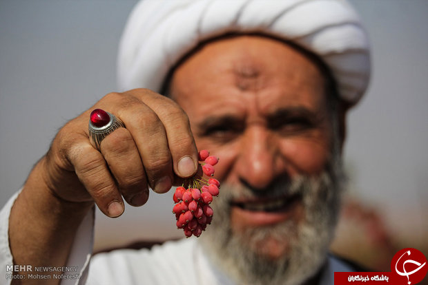 این روحانی 