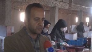 اختراع دستگاه دانه کن زرشک تازه،توسط مخترع بیرجندی