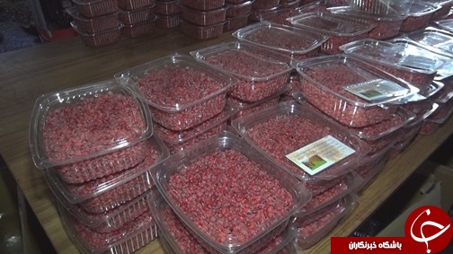 اختراع دستگاه دانه کن زرشک تازه،توسط مخترع بیرجندی