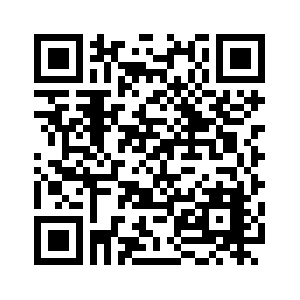 Data Usage Monitor Premium