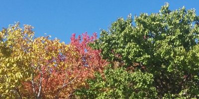 مادون دره ای زیبا در پاییز