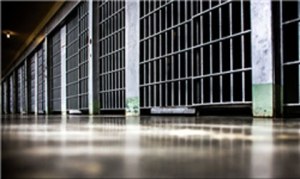 محکومیت عامل آتش سوزی منطقه حفاظت شده شیمبار