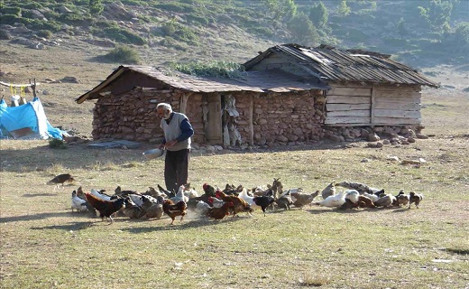 آشنایی با روستای ملاده + تصاویر