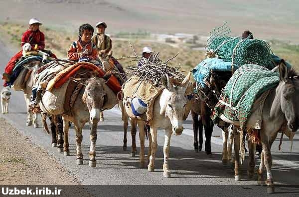 آغاز "کوچ عشایر"