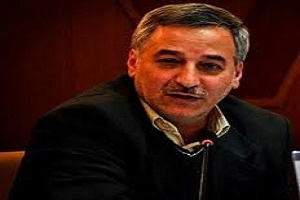 اشرفی: سلطانی فر دیدگاه حمایتی به پارالمپیک دارد