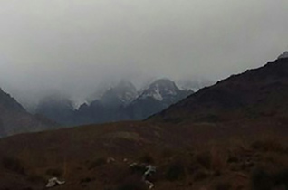 کرکس سفیدپوش شد