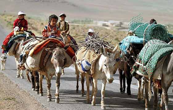 آغاز کوچ عشایر
