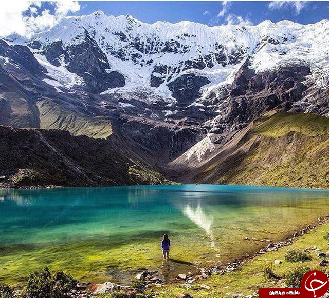 از عجیبترین سرگرمی های تاریخ/سگ میلیونر/جلد کتاب از پوست یک دختر
