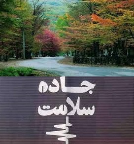 احداث جاده سلامت در پارک النگدره گرگان