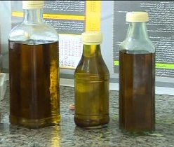 تولید 25 درصد روغن زیتون کشور درطارم زنجان