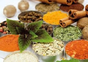 اولین کارخانه داروسازی گیاهی در استان اردبیل راه اندازی می شود