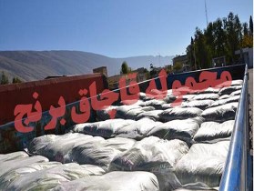 کشف يک تن برنج قاچاق در فردوس