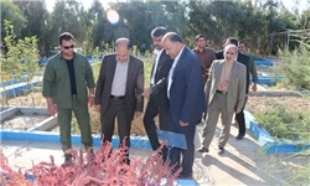دانشگاه زابل پرچم‌دار ترویج فرهنگ اقتصاد مقاومتی