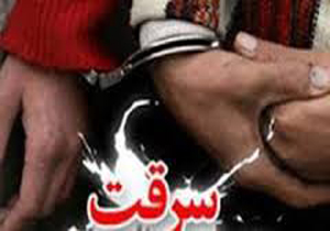 سارقان به عنف در دام قانون