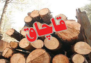 كشف یک تن چوب آلات جنگلی قاچاق در سوادکوه