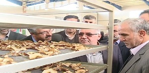 افتتاح 2 طرح کشاورزی در زنجان