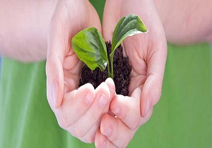 آموزش دهی زیست محیطی به دهیاران