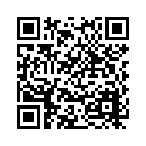 Folder Lock Pro