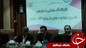 تدوین طرح نظام نوین ترویج کشاورزی در خراسان جنوبی