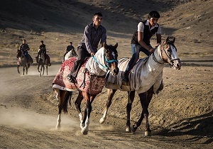 اسب های شهرستان گرمی شناسنامه دار می شوند