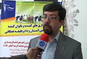 بیماری تب مالت در استان تحت کنترل است