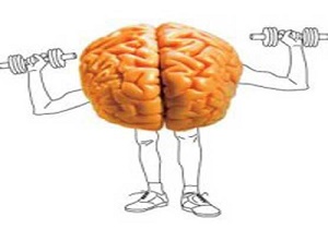چگونه مغز را جوان نگه داریم؟
