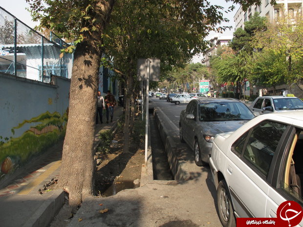 قابل توجه شرکت&zwnj;کنندگان در آزمون استخدامی/ هر 7 دقیقه یک نفر آلزایمر می&zwnj;گیرد/ خبرخوش رئیس کمیته امداد برای مددجویان