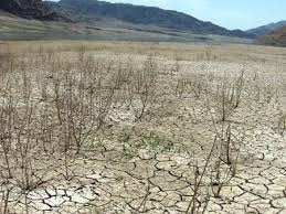 احیای تالاب جازموریان از سوی دولت حائز اهمیت است