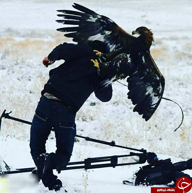 قورباغه