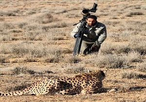 غرش یوز ایرانی در نیویورک