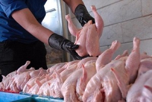 راه اندازی خط دوم کشتار گاه مرغ با استفاده از تکنولوژی های روز دنیا