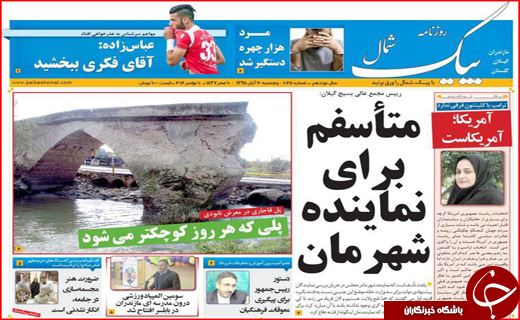 از فروش مجازی کالاهای قاچاق تا تراژدی مرگ درختان از فروش مجازی کالاهای قاچاق تا تراژدی مرگ درختان