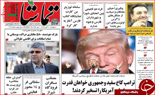 از فروش مجازی کالاهای قاچاق تا تراژدی مرگ درختان از فروش مجازی کالاهای قاچاق تا تراژدی مرگ درختان
