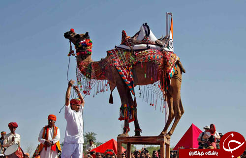 از کلکسیون جمجمه بیماران در خانه یک پزشک تا گردباد آتش بر فراز یک چاه نفتی